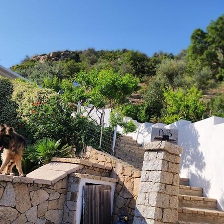 Casa L'Ulivariu Affittacamere San Teodoro  Exterior foto