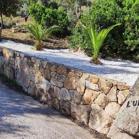 Casa L'Ulivariu Affittacamere San Teodoro  Exterior foto