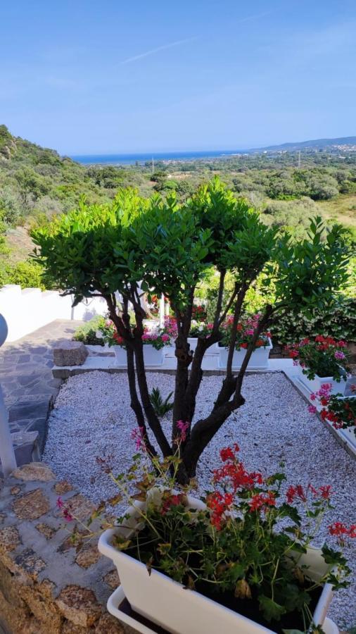 Casa L'Ulivariu Affittacamere San Teodoro  Exterior foto