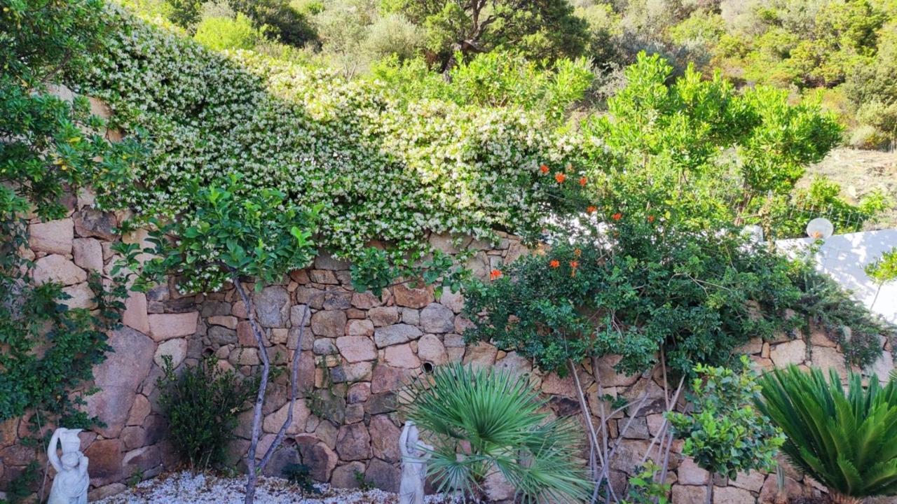 Casa L'Ulivariu Affittacamere San Teodoro  Exterior foto