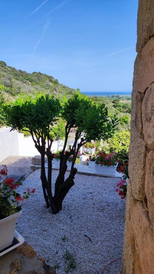 Casa L'Ulivariu Affittacamere San Teodoro  Exterior foto
